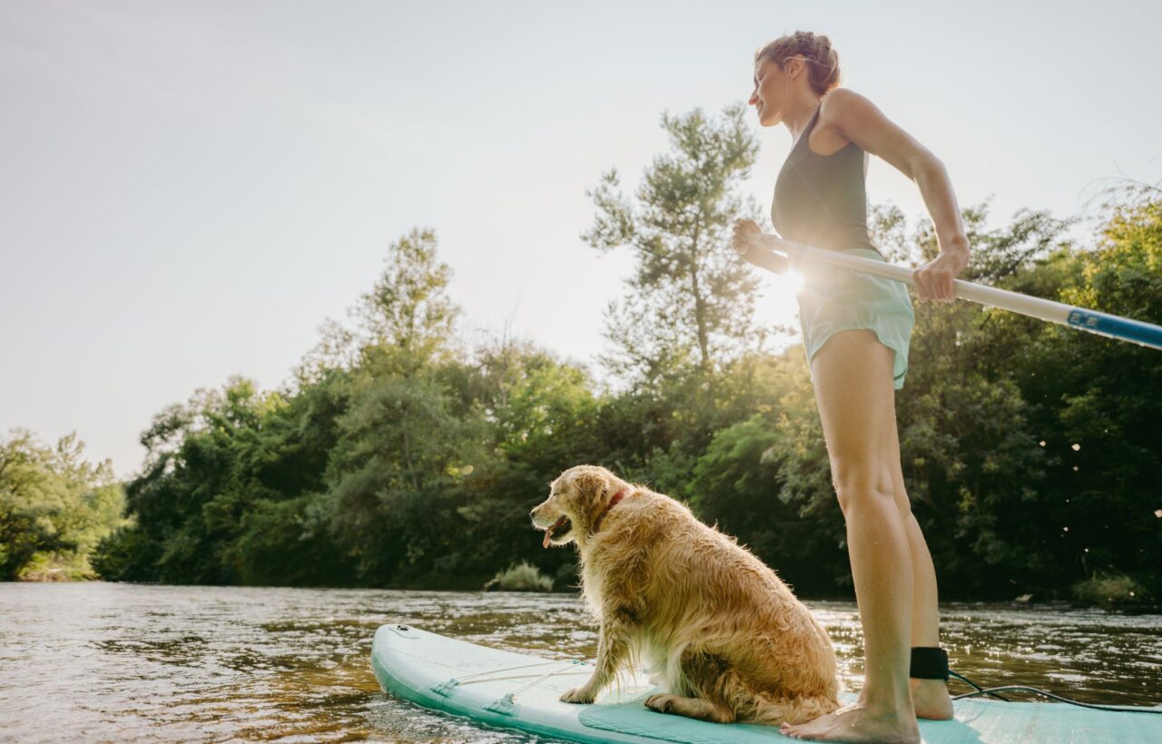 Suppen met hond Suppen met hond