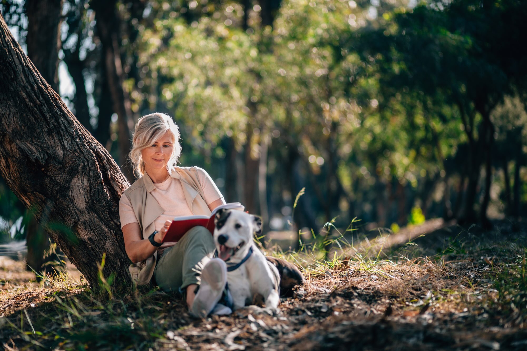Lezende vrouw in park Meisje leest boek in het park